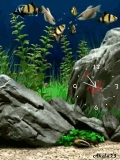 Animated Aquarium & Sea Clock