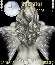 silver wings