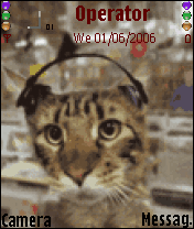 animated cat