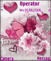 Butterfly N Flowers  love