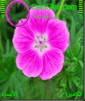 theme ftonia