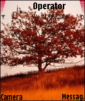 a tree