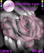 rosa animated multicolore