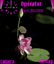 lotus
