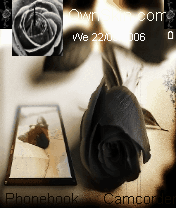 Black&rose