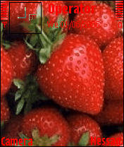 strawberry