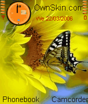 Butterfly's Nature