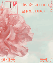 花2