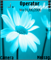 sweet flower45
