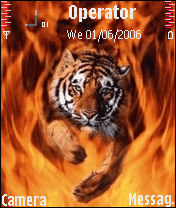 Fire Tiger