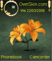 a lovely flower