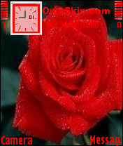 ورد