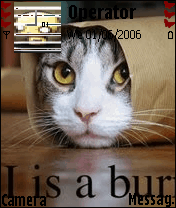 cat series