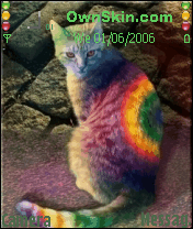 Rainbow Cat