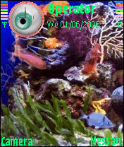 acquario marino