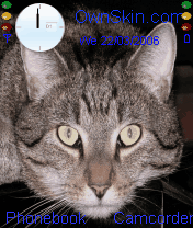 Kucing