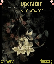ivy13