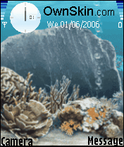 aquarium