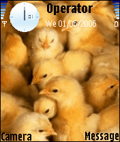 baby chick..,