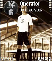 fernando torres