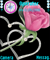 pink rose