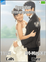lee hom and selina