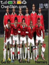 timnas