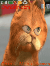 garfield
