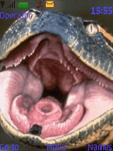 Anaconda
