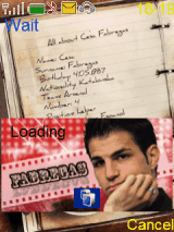 Cesc Fabregas