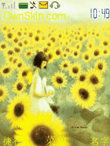 sun  Flower