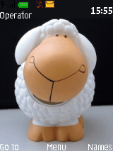 cute sheep