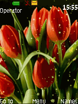 Flower & Animeted