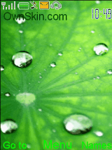 green leaf