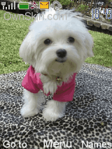 纪宝贝
