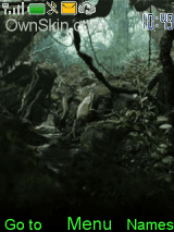 The Forest of the Dinosaurs