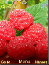 raspberries