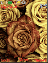 colourfullroses