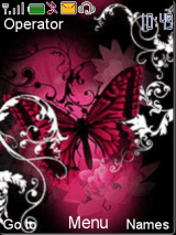 pink butterfly 