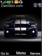Black N Shelby II