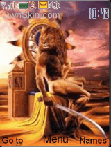 lion