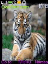tiger cub 