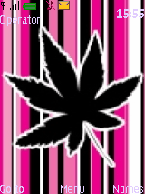 cannabis