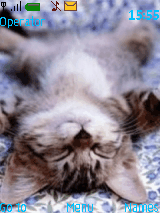 FuNNyCaT