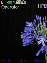 flowertheme7