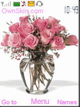 rose rose