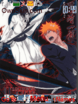 Bleach 2.5
