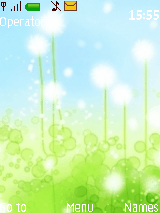 蒲公英