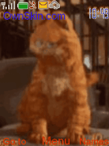 garfield