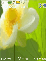 flower